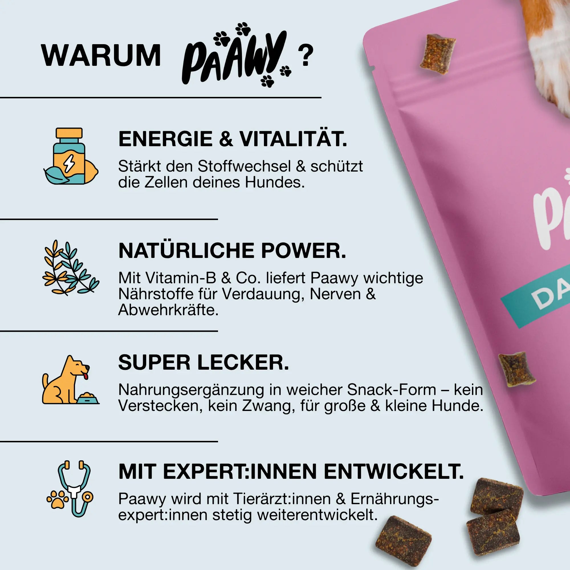 Paawy DailyBoost Snacks – Rundum-Vitalität für Hunde – 29 Vitamine, Mineralien & Kräuter