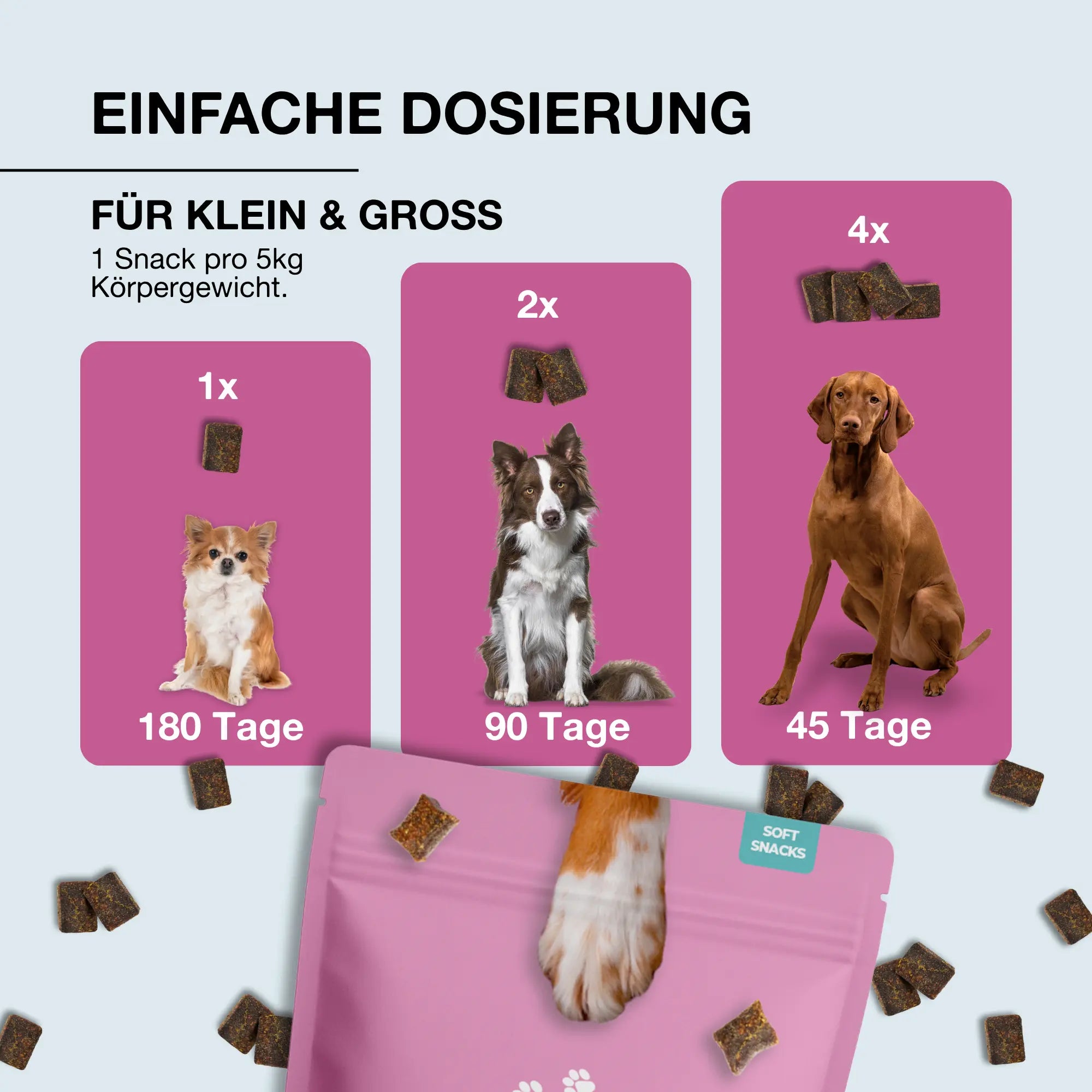 Paawy DailyBoost Snacks – Rundum-Vitalität für Hunde – 29 Vitamine, Mineralien & Kräuter