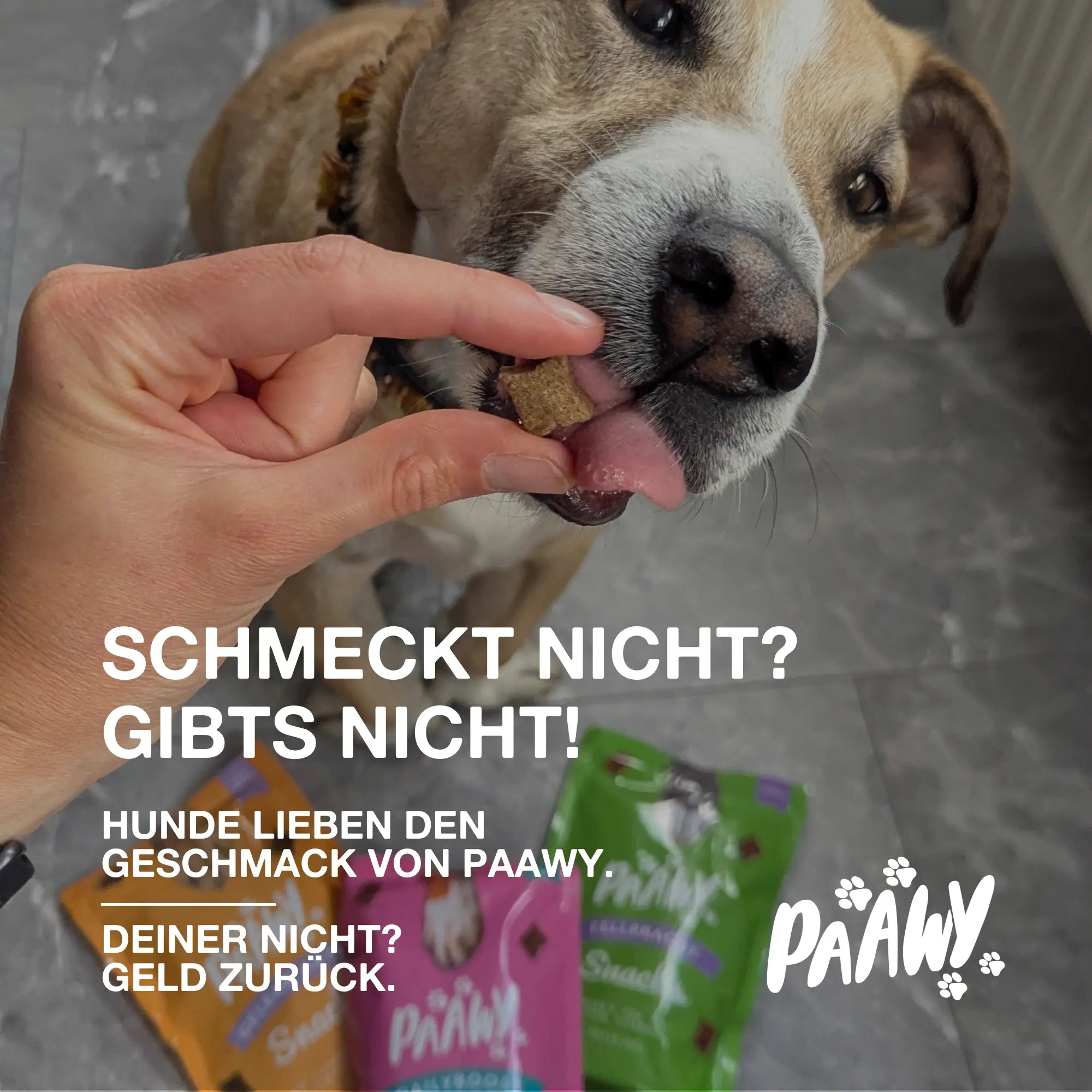 Paawy Fellpracht Snacks – Haut- & Fellpflege für Hunde – Mit Omega-3, Biotin & Zink
