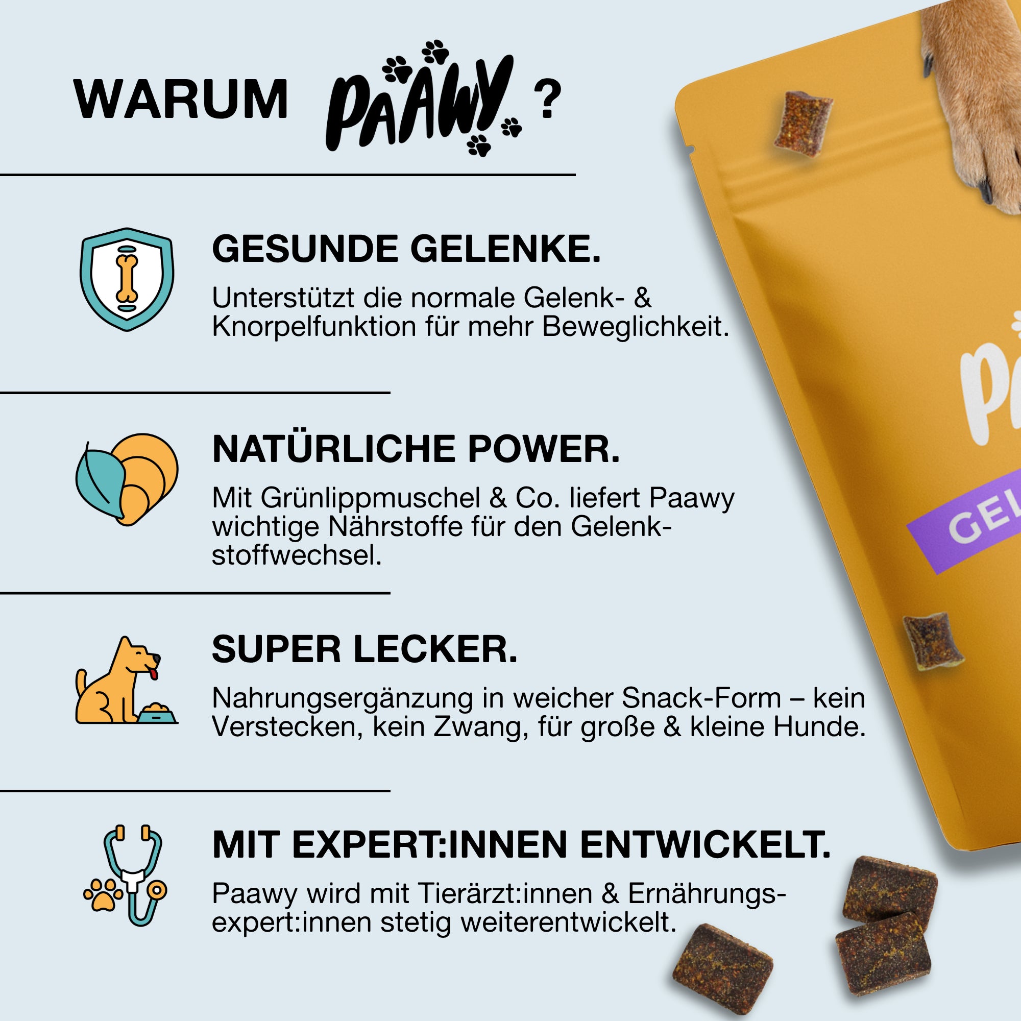 Paawy Gelenk-Aktiv Snacks – Gelenkschutz für Hunde – Mit Grünlippmuschel, Glucosamin & MSM - 180 Stk. pro Packung