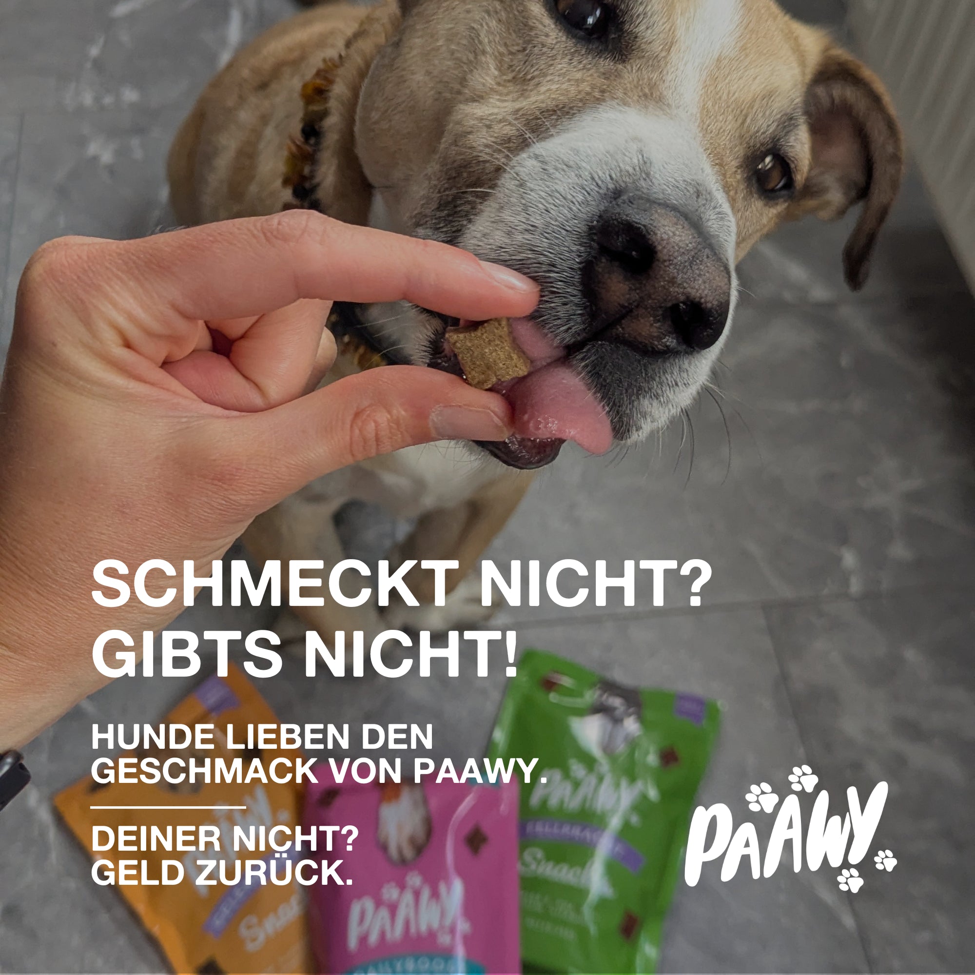 Paawy Gelenk-Aktiv Snacks – Gelenkschutz für Hunde – Mit Grünlippmuschel, Glucosamin & MSM - 180 Stk. pro Packung