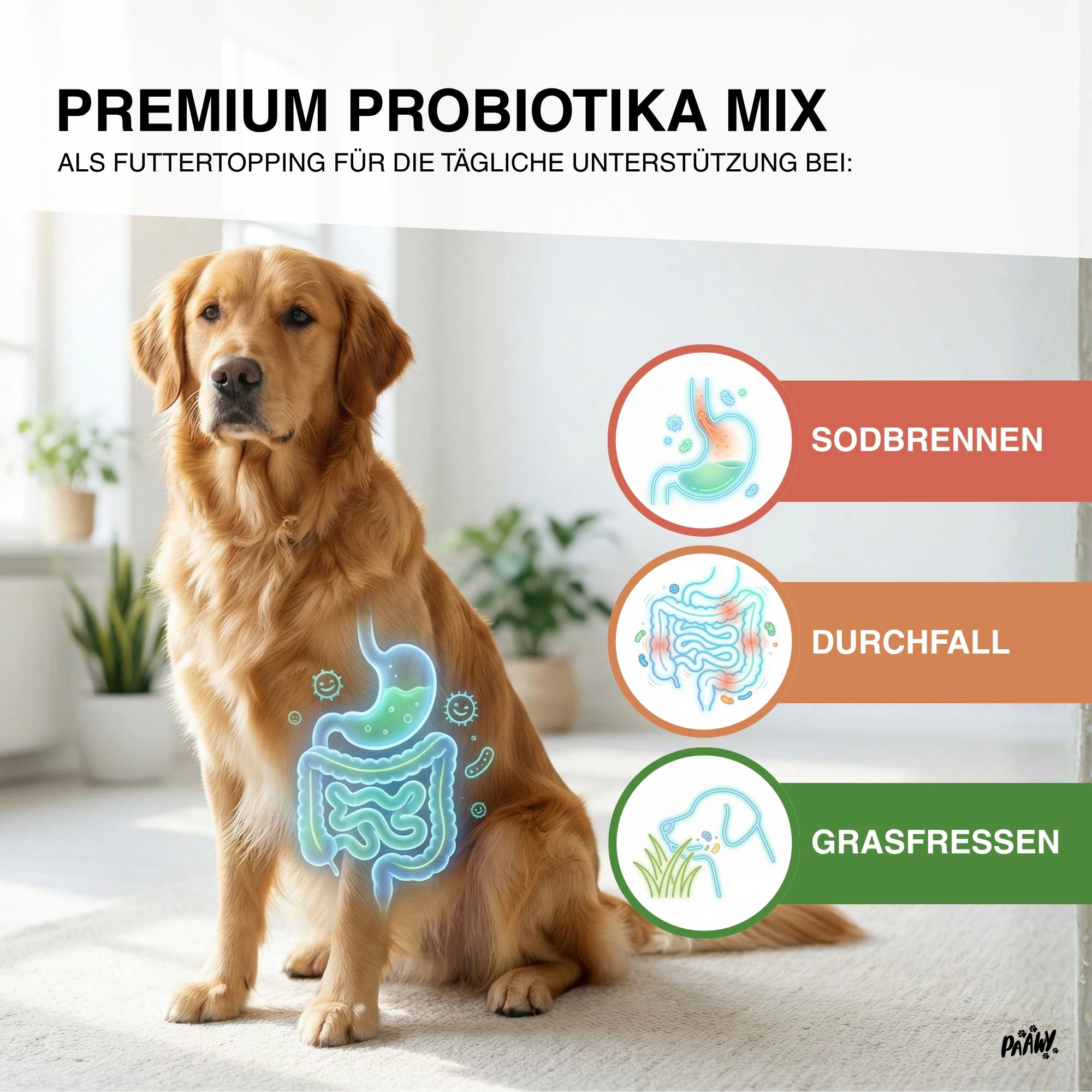 Paawy Magen-Darm Topping - 10-in-1 Probiotika Futtertopping für Hunde gegen Sodbrennen, Durchfall & Grasfressen | Made in Germany