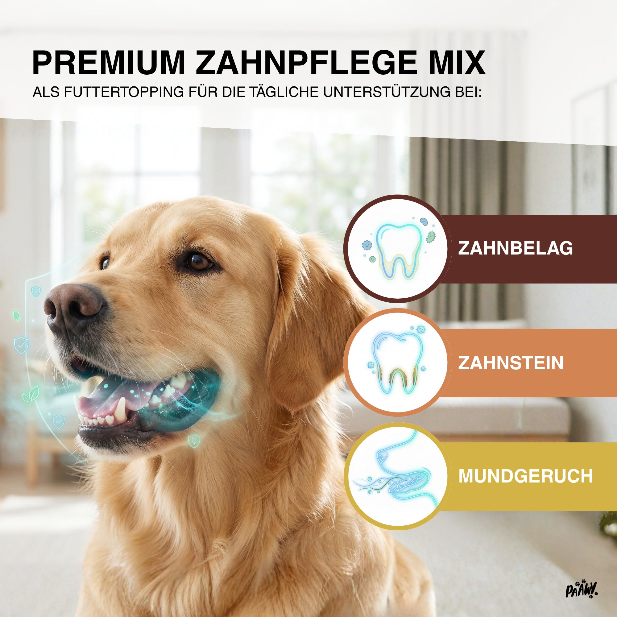 Paawy Dental Topping - die 9-in-1 Zahnpflege für Hunde gegen Zahnbelag, Zahnstein & Mundgeruch | Made in Germany