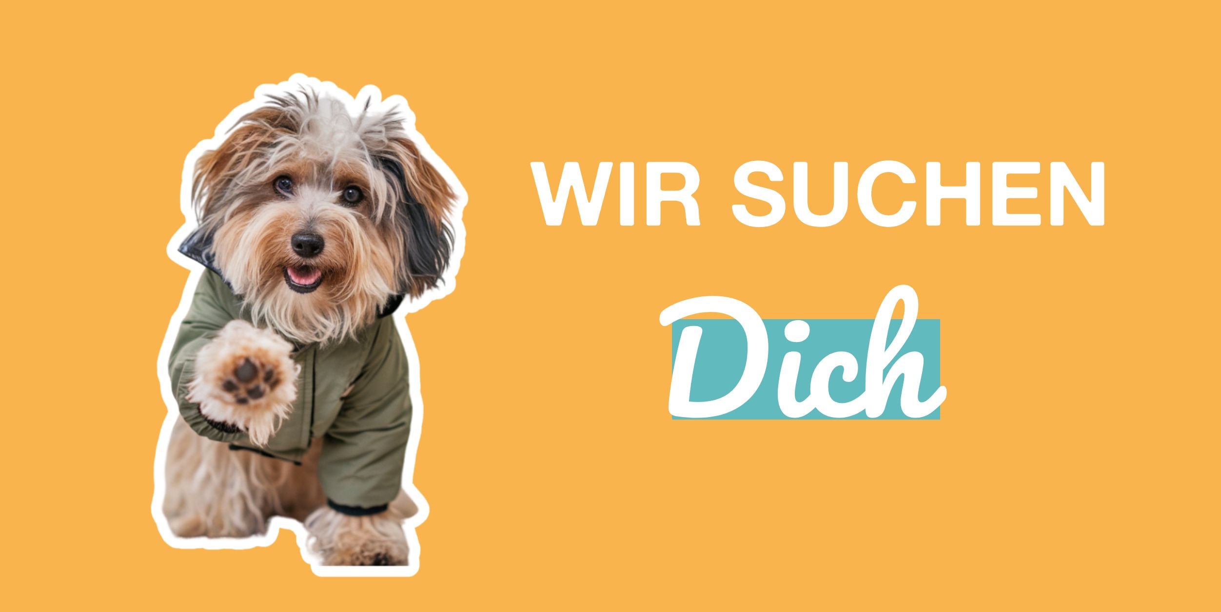 WIR_SUCHEN Dich