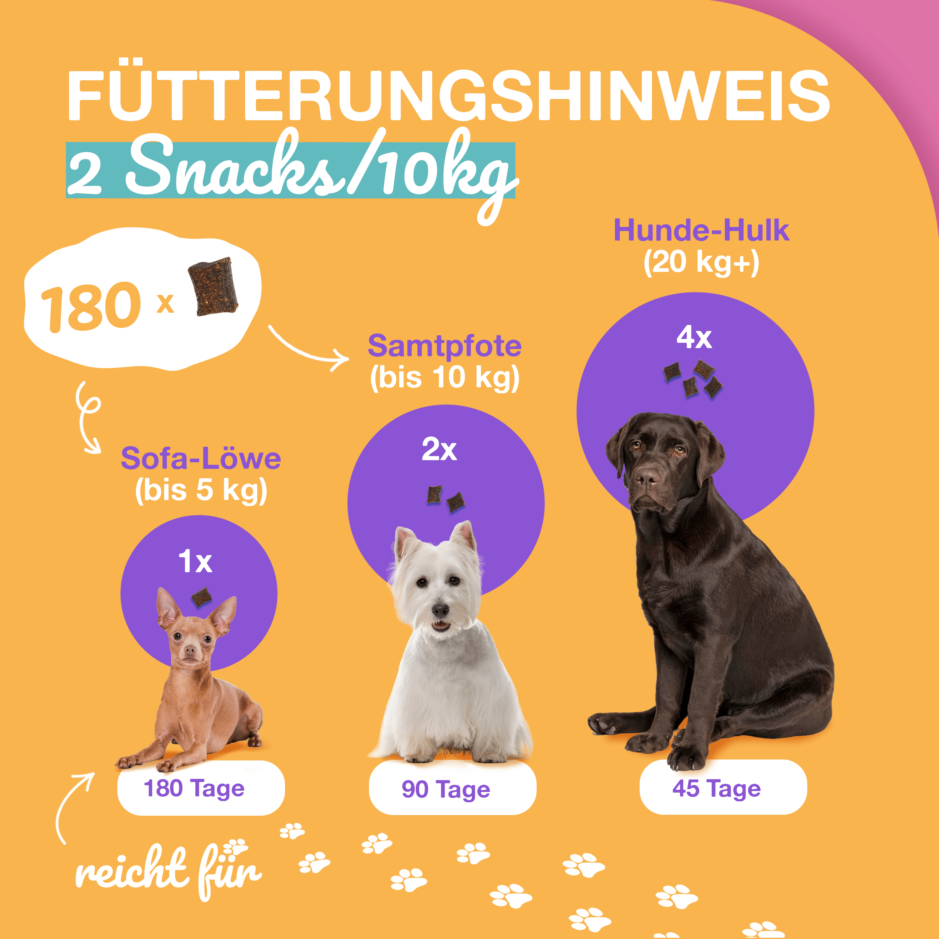 Paawy DailyBoost Snacks – Rundum - Vitalität für Hunde – 29 Vitamine, Mineralien & Kräuter - paawy