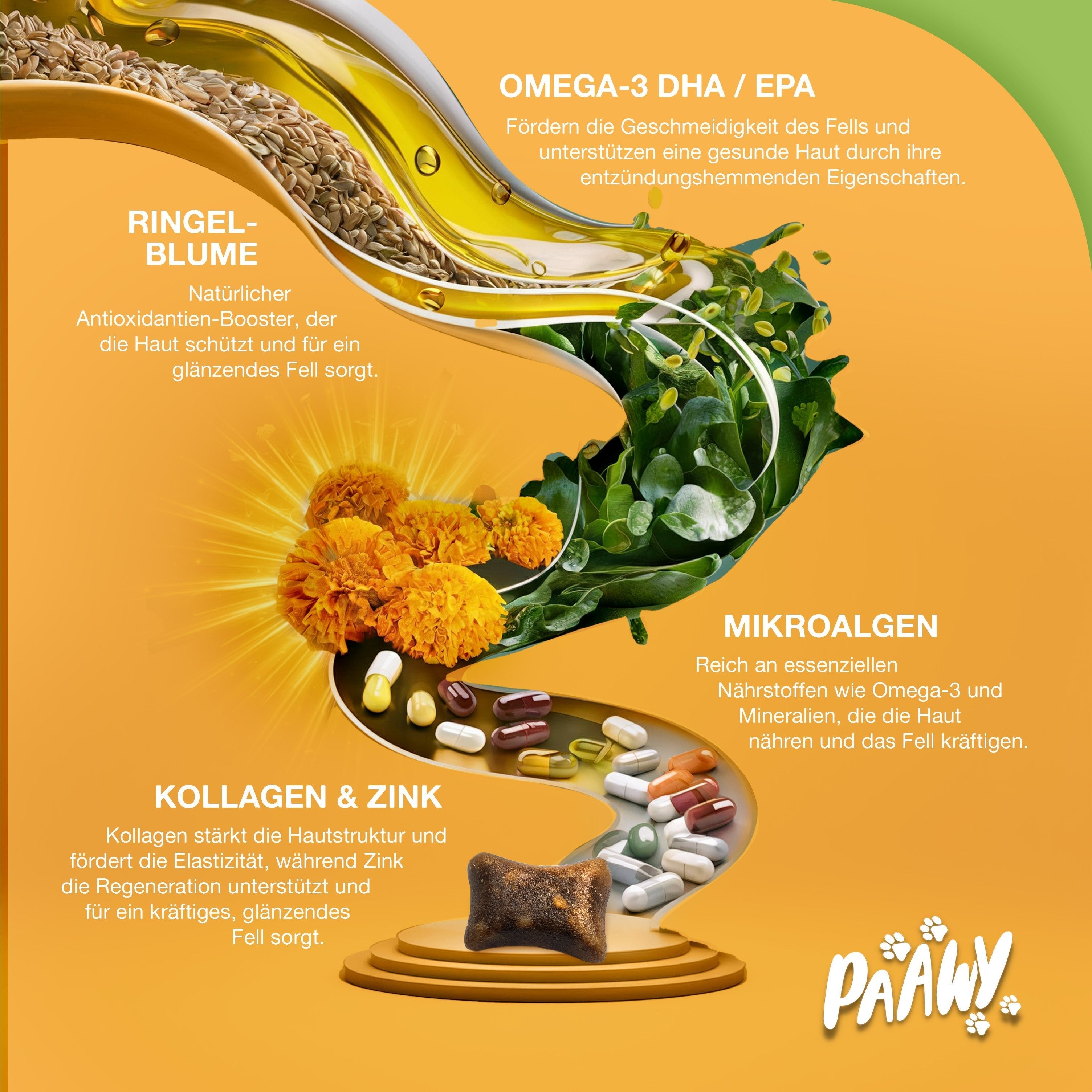 Paawy Fellpracht Snacks – Haut - & Fellpflege für Hunde – Mit Omega - 3, Biotin & Zink - paawy
