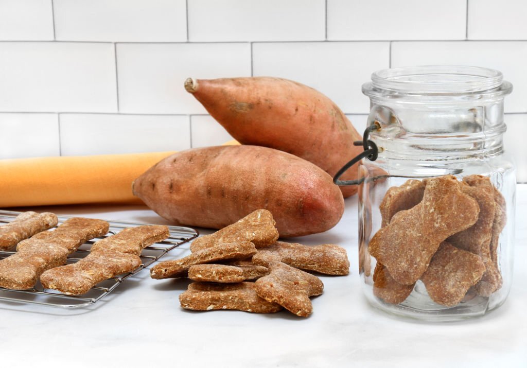 Ob gekocht, roh oder mit Schale - Kartoffeln für Hunde: Dürfen Hunde Kartoffeln essen? Können sie davon zunehmen oder gar Durchfall davon bekommen?