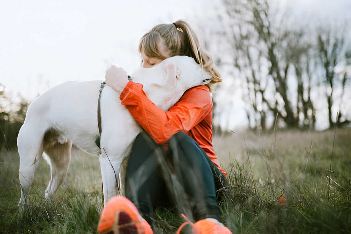 Wie Hunde unsere Gesichtsausdrücke verstehen