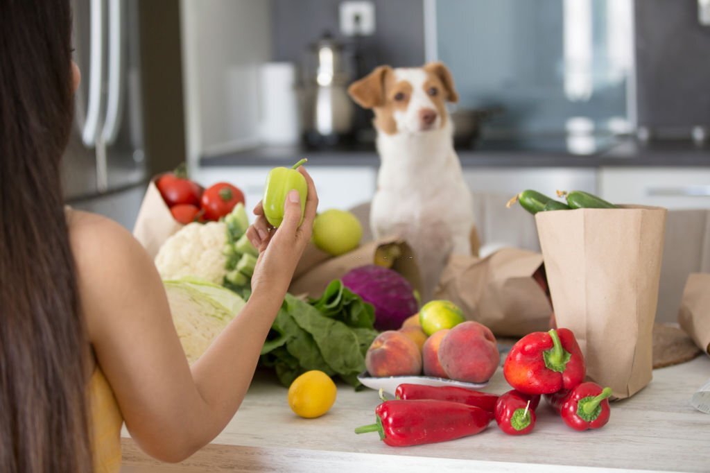 Die ultimative Liste: Obst und Gemüse für Hunde - paawy