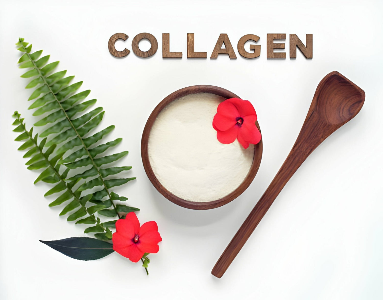 Kollagen für Hunde - paawy