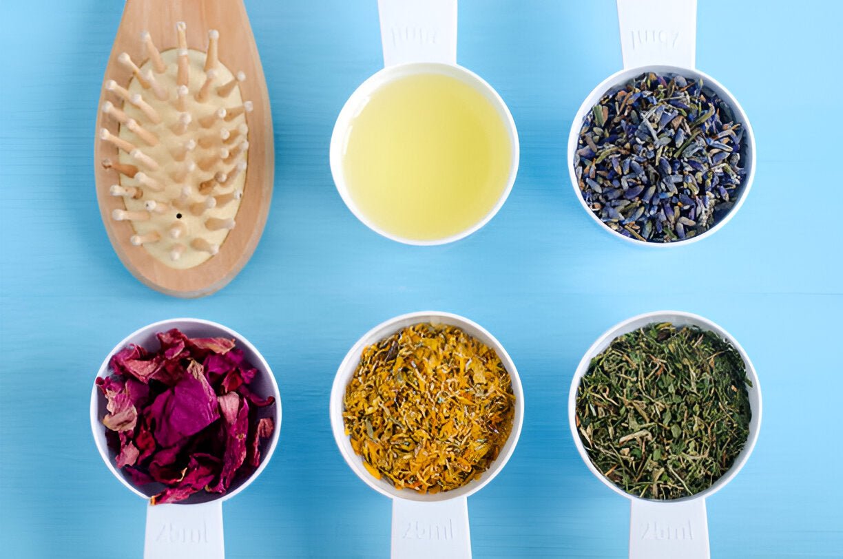 Warum Biotin, Zink und Ringelblume für die Gesundheit deines Hundes unverzichtbar sind - paawy