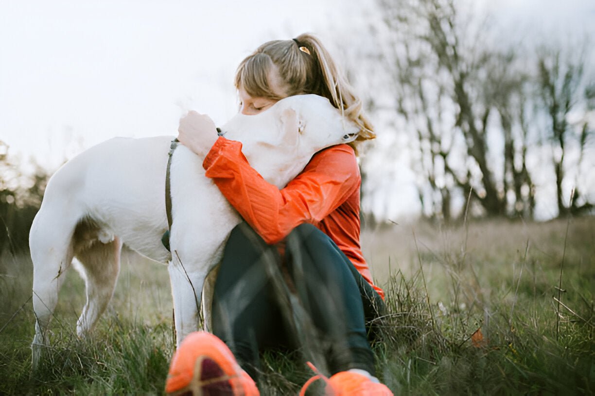 Wie Hunde unsere Gesichtsausdrücke verstehen - paawy