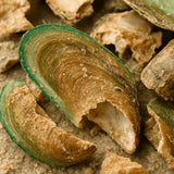 Grünlippmuschel