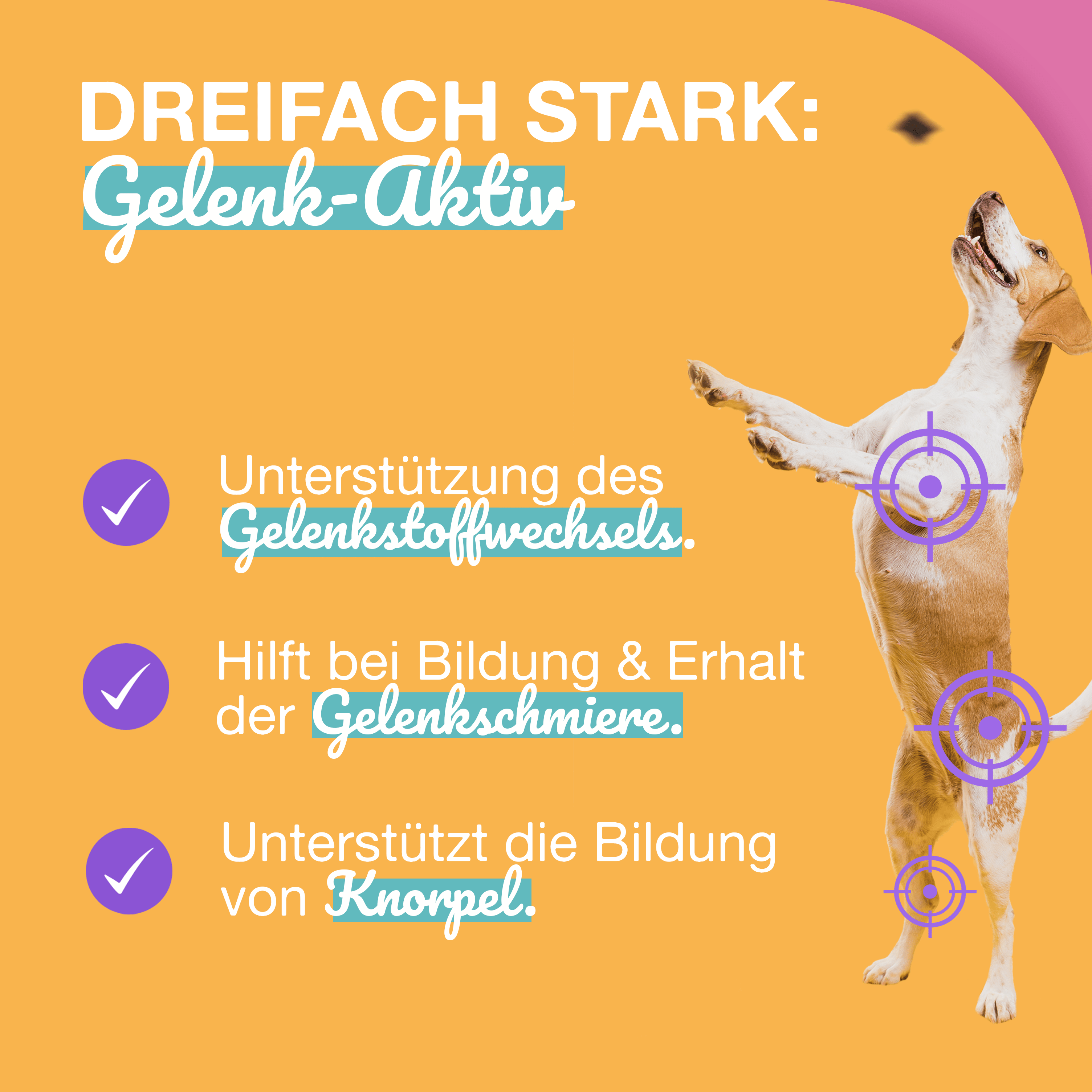 Paawy DailyBoost Snacks – Rundum - Vitalität für Hunde – 29 Vitamine, Mineralien & Kräuter - paawy