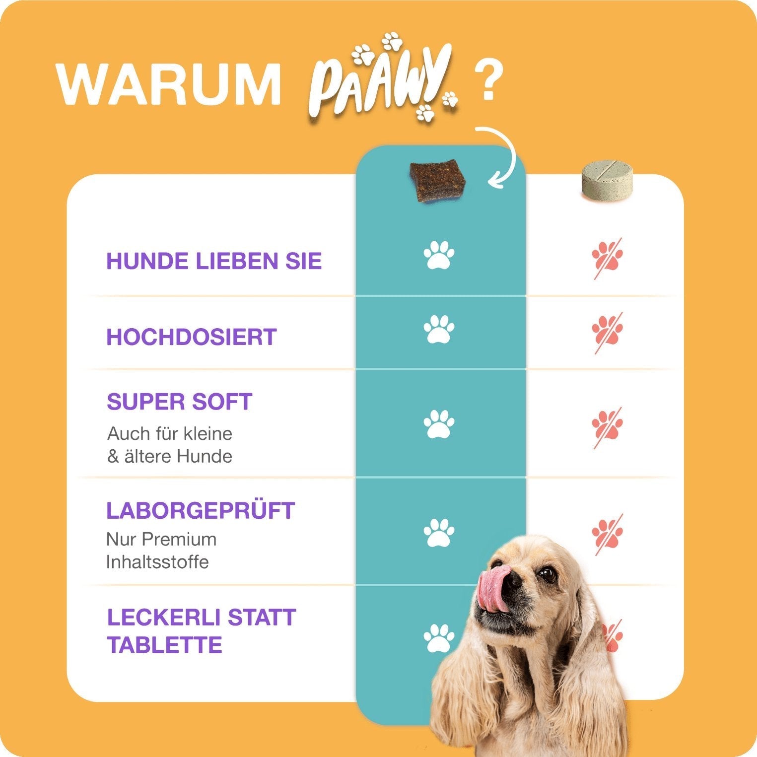 Paawy Gelenk - Aktiv Snacks – Gelenkschutz für Hunde – Mit Grünlippmuschel, Glucosamin & MSM - paawy