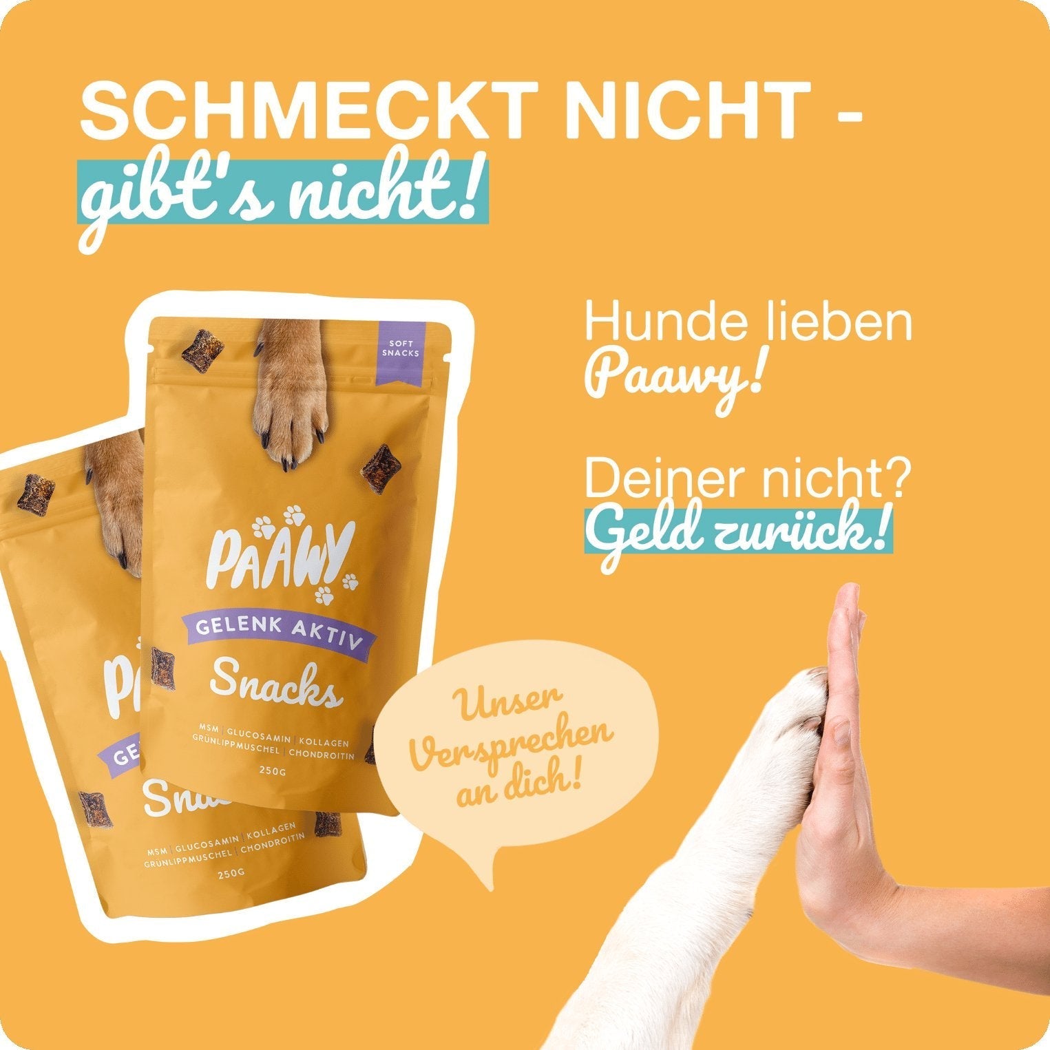 Paawy Gelenk - Aktiv Snacks – Gelenkschutz für Hunde – Mit Grünlippmuschel, Glucosamin & MSM - paawy