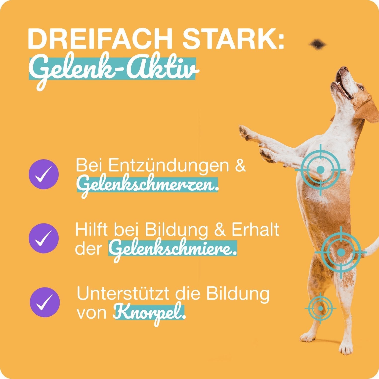 Paawy Gelenk - Aktiv Snacks – Gelenkschutz für Hunde – Mit Grünlippmuschel, Glucosamin & MSM - paawy